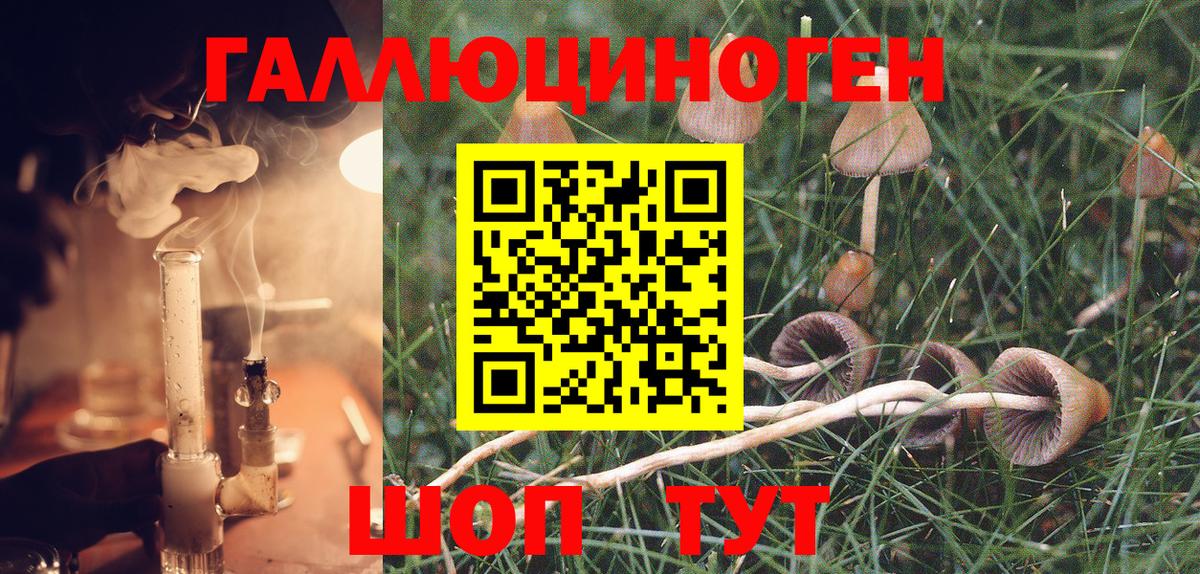 Галлюциногенные грибы MAGIC MUSHROOMS  продажа наркотиков  Баксан  Вход с VPN 