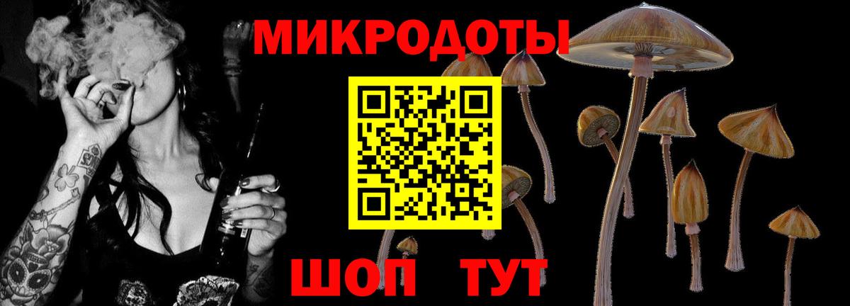 Псилоцибиновые грибы мицелий Баксан